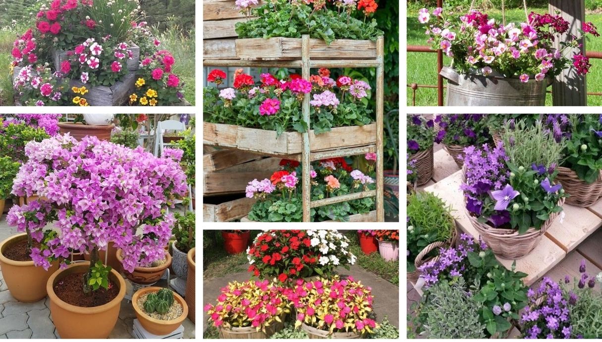 54 Amazing ideas with colorful flowers that will boost the beauty of ...