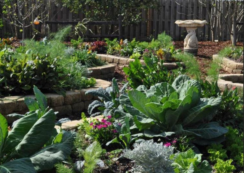 Create A Permaculture Garden - How To Make An Easy-care And Productive ...