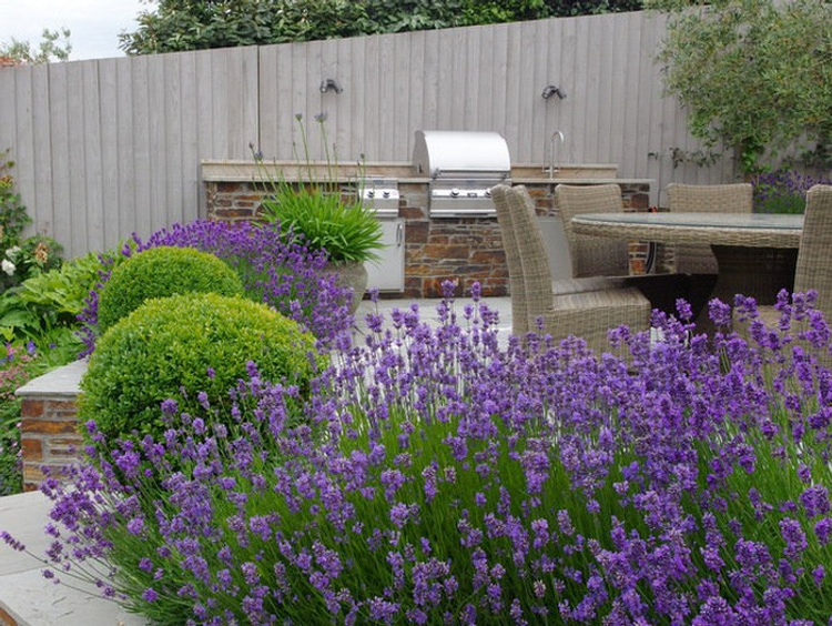 40 fascinating inspirations of a lavender courtyard - you will fall in ...