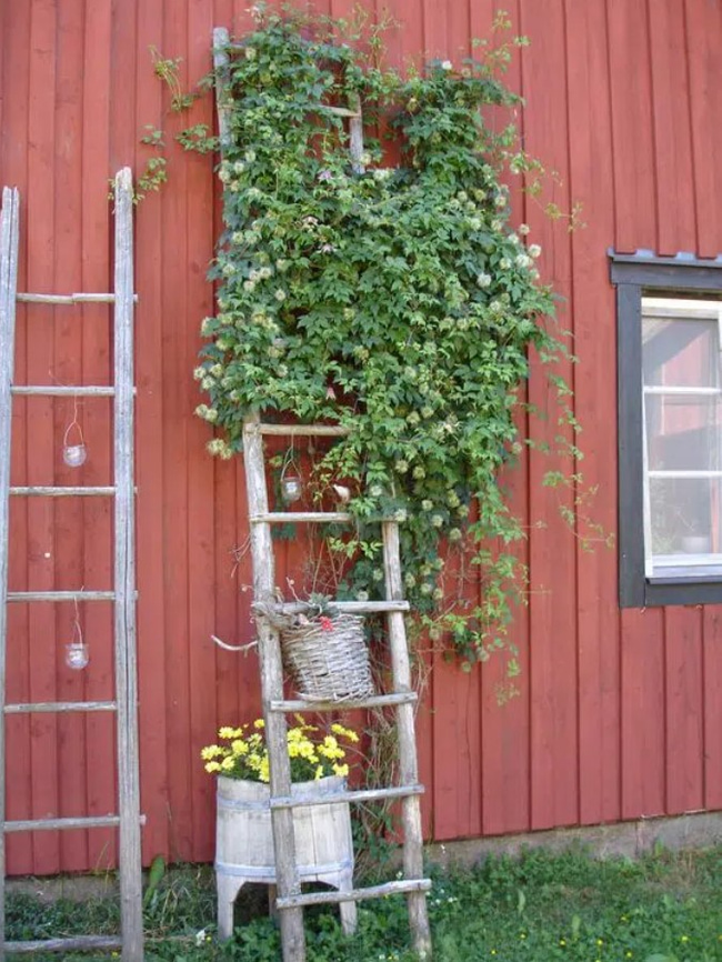 20 Amazing DIY ideas to turn an old wooden ladder into a beautiful