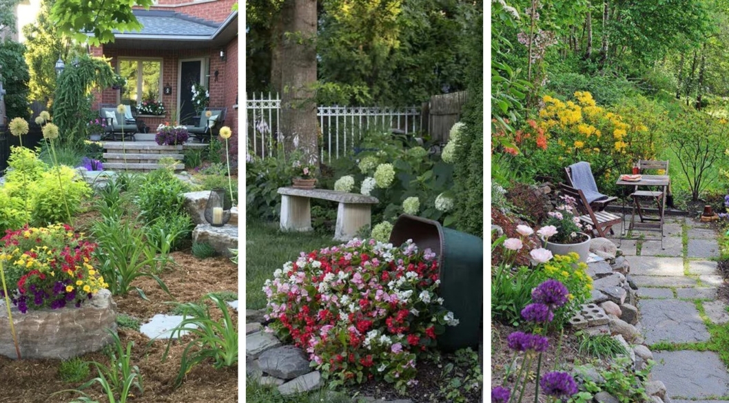 Garden in the Backyard How to Do It, what to Plant, and 50 Ideas for