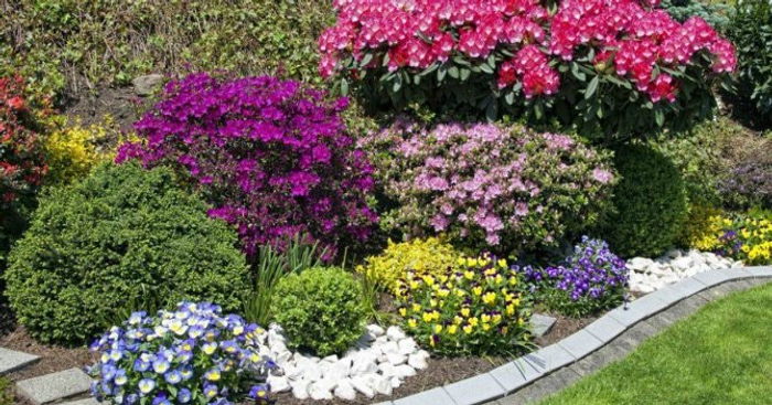 Perennial flower bed for beginners: 53 design and ready-made schemes ...