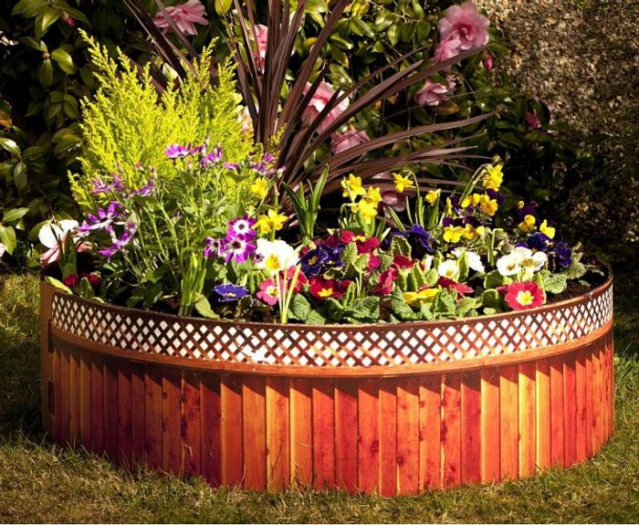 Perennial flower bed for beginners 53 design and readymade schemes