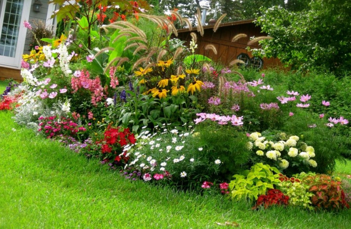 Perennial flower bed for beginners: 53 design and ready-made schemes ...