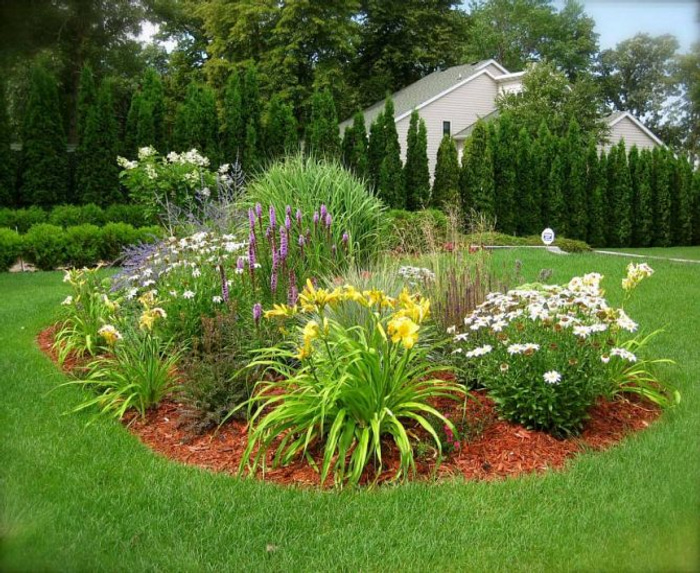 Perennial flower bed for beginners 53 design and readymade schemes