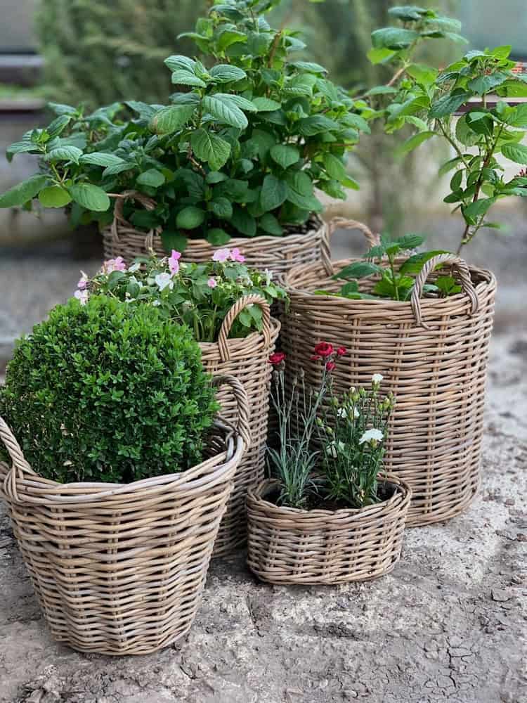Transform Your Outdoor Space: Plant Flowers in Wicker Baskets for a ...