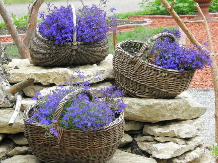 Transform Your Outdoor Space: Plant Flowers in Wicker Baskets for a ...